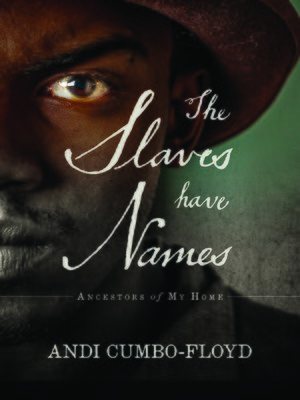 cover image of The Slaves Have Names